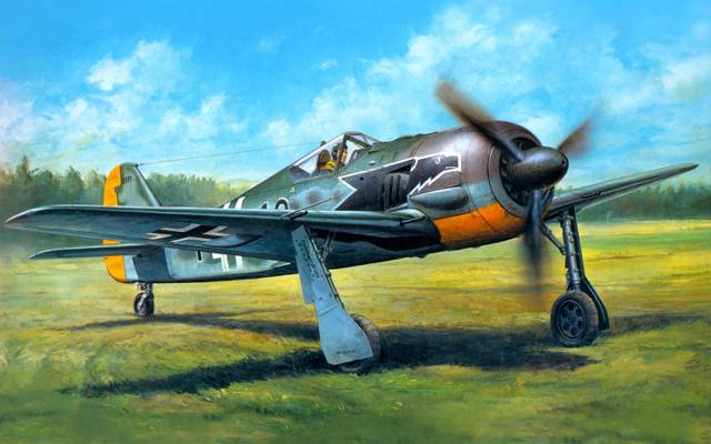Focke-Wulf FW  -  190A  -  3,战斗机单翼机,艺术,WW2,德语,田野,单身,飞机
