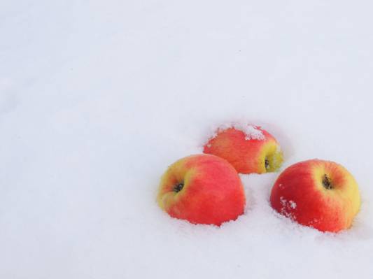 弗罗斯特,苹果,雪,冬天