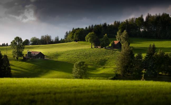 风景照片的山丘和房子,teufen,appenzell高清壁纸