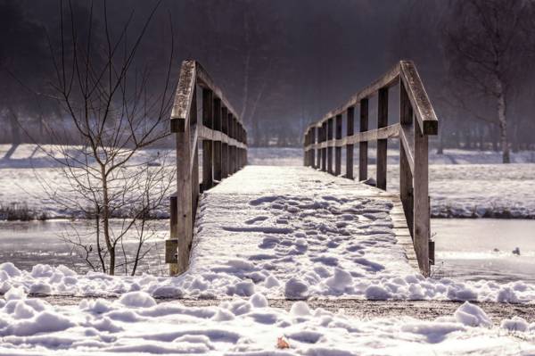 棕色的木制桥,长满了雪场高清壁纸