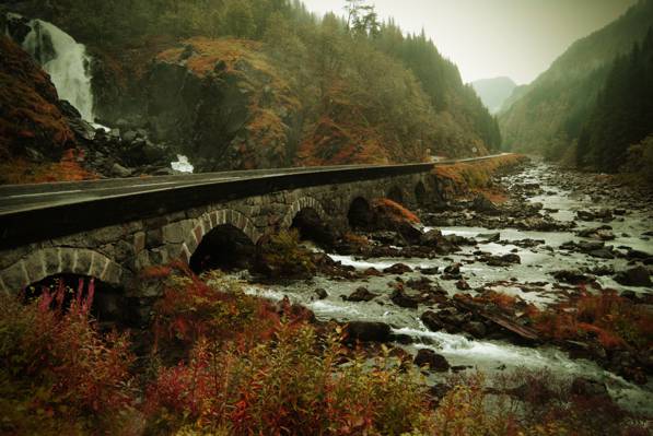 河附近的桥梁风景摄影在雾季节高清壁纸