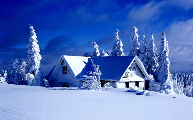 雪,冬天,树,灌木,吃,房子,天空,云,故事