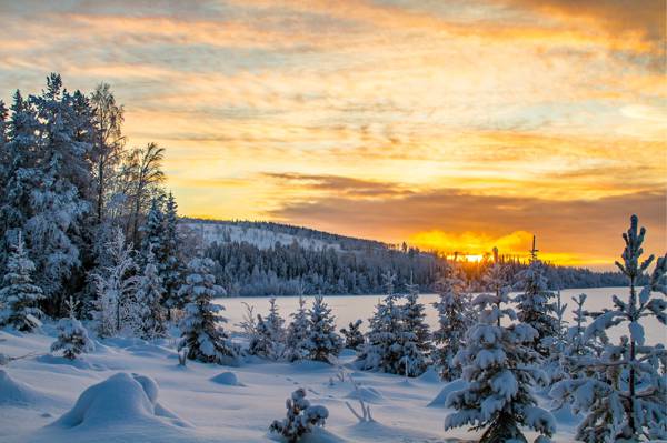 晚上,瑞典日落,森林,冬天