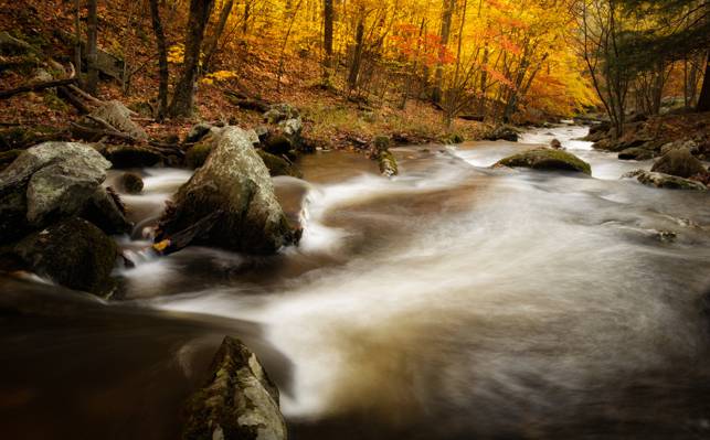 马其顿布鲁克州立公园,康涅狄格州,秋天,石头,肯特,河,森林