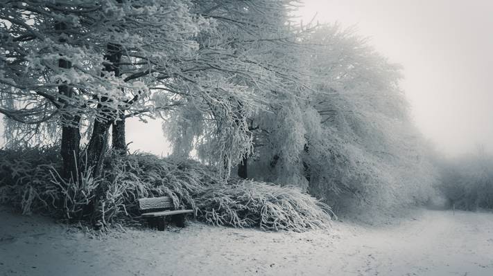 长凳,冬天,雪,性质