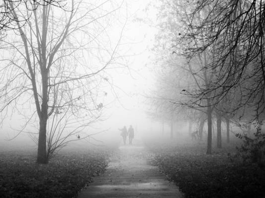 情侣走在路边行树附近,摄政公园高清壁纸