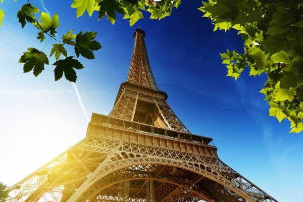 法国,法国,巴黎,艾菲尔铁塔,拉埃菲尔铁塔,叶子,巴黎,艾菲尔铁塔,枫树,太阳,...