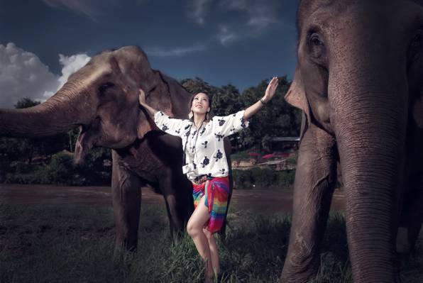 背景,女孩,大象
