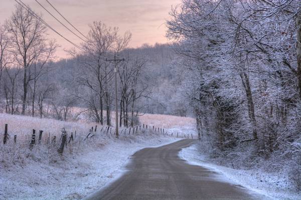 早上,光,雪,自然,霜,路,冬季,颜色,景观