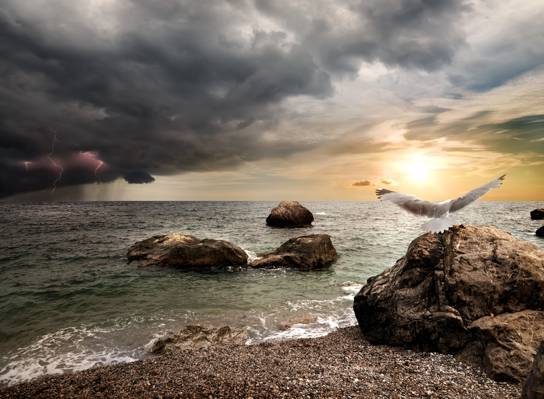 云,闪电,海岸,海鸥,雨,海,风暴,photoshop,鸟,太阳,天空,地平线,...  - 