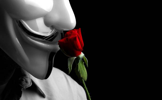 玫瑰,背景,面具