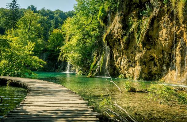 湖,Plitvice湖,绿色,跟踪,克罗地亚