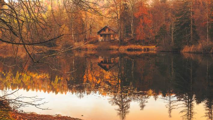 棕褐色的小木屋在水面前的树林里高清壁纸