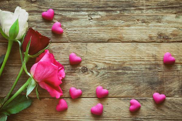 爱,玫瑰,木,粉红色,浪漫,玫瑰,心,心,情人节那天