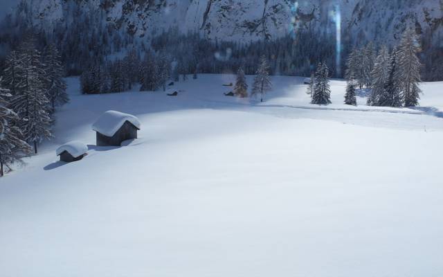房子,雪,景观,冬天