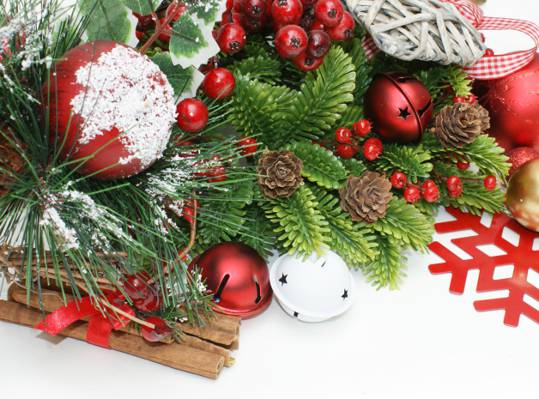 新年,假期,玩具,冬青树,新年,圣诞节,肉桂,球,分支,云杉,红色,颠簸,白色,...