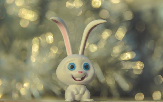 兔子,背景,微笑,玩具