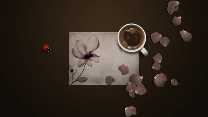 马克杯,背景,纸,瓢虫,咖啡,花,花瓣,昆虫