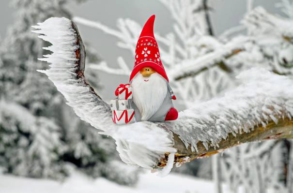 矮人陶瓷雕像摄影雪涂树枝高清壁纸