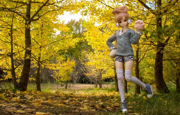 玩具,娃娃,性质,树木,秋天,叶子
