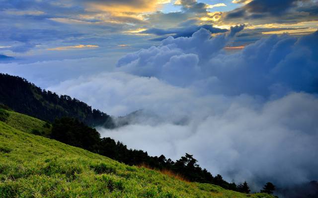 绿党,丘陵,自然,雾,草,云