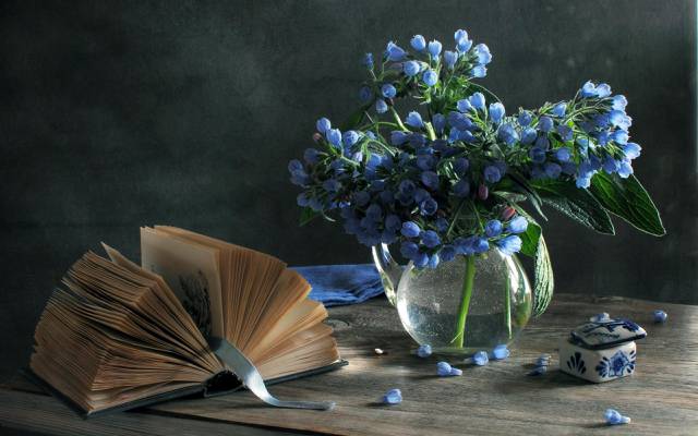 花瓶,鲜花,静物,蓝色,春天,书,框