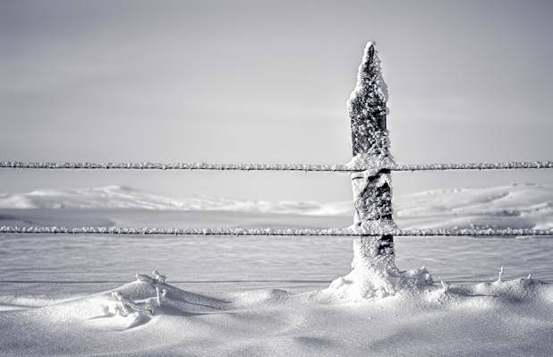栅栏,柱子,雪,冬天