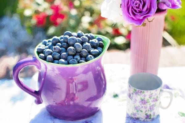成熟的蓝莓在紫色陶瓷投手高清壁纸