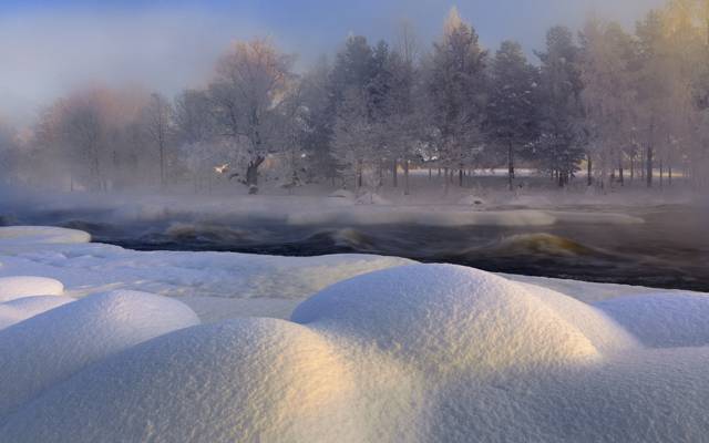 雪,自然,冬天,Hälsingland,树,瑞典,沃克南河,瑞典,河