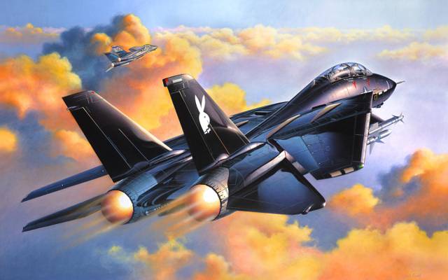 战斗机,F-14A黑色雄猫,天空,航空,壁纸