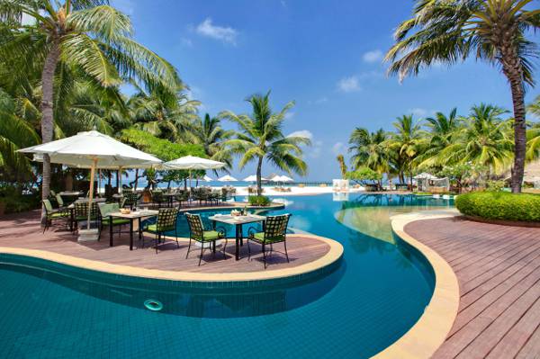 棕榈树,大自然,桌子,树木,马尔代夫,马尔代夫,游泳池,日光躺椅