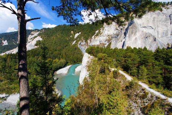 树木,瑞士,河流,山脉,阿尔卑斯山