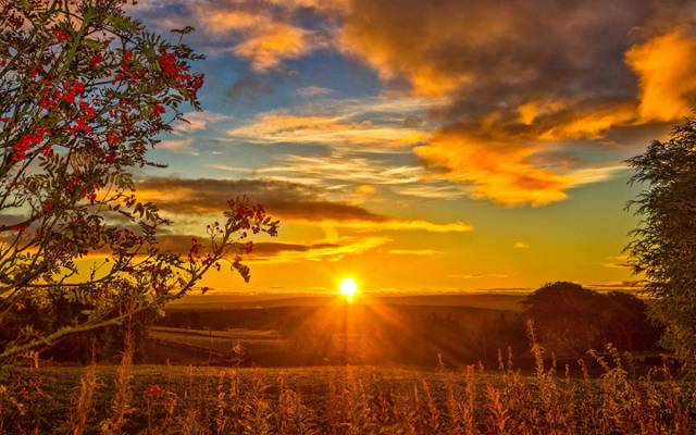 日落,云,草,天空,太阳的光芒,罗文,苏格兰,autumn.field