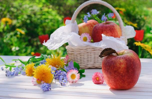 鲜花,篮子,苹果