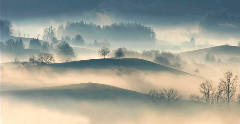 树和雾包围的山高清壁纸