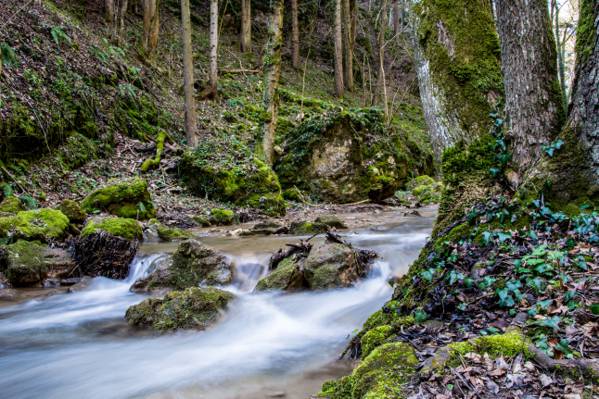 延时摄影的岩石和树木之间的水的身体高清壁纸