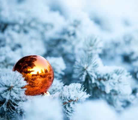云杉,雪,反射,冬季,树,圣诞玩具,球,分支机构