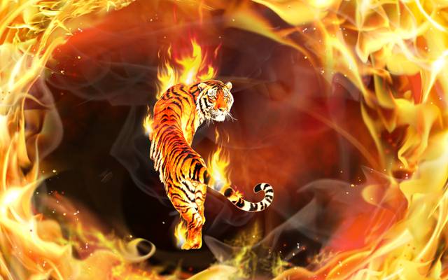 火焰,老虎,它,火焰,拥抱,周围
