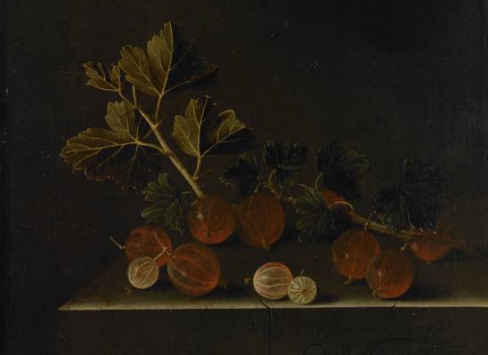 阿德里安·Coort,在一个石基座鹅莓小枝,静物,图片,浆果
