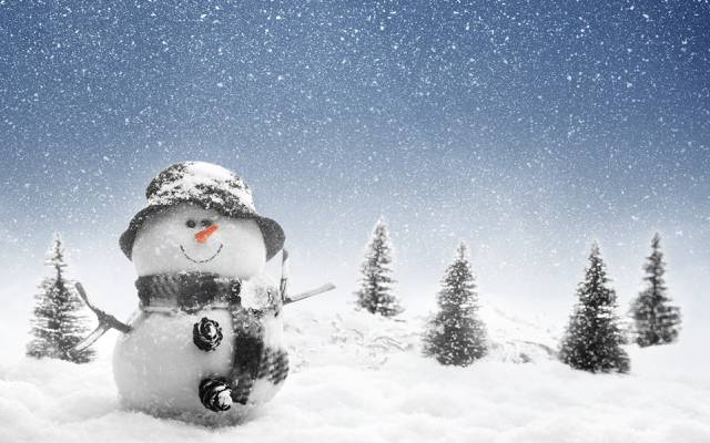 雪人,冬天,雪,性质,树,景观