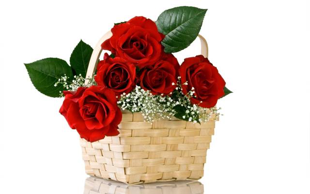 鲜花,花束,性质,红色,篮子,玫瑰,花,篮子