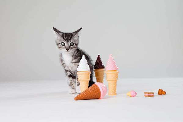 四个冰淇淋玩具附近棕色虎斑小猫高清壁纸