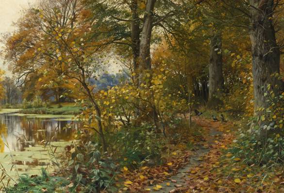 景观,秋季,河,彼得MørkMønsted,彼得Merk的Menstad,路径,叶子,自然,夏洛滕德森林,...