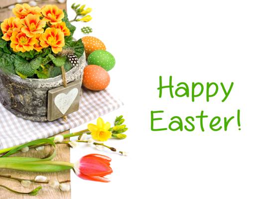 鸡蛋,鸡蛋,春天,鲜花,复活节,郁金香,复活节