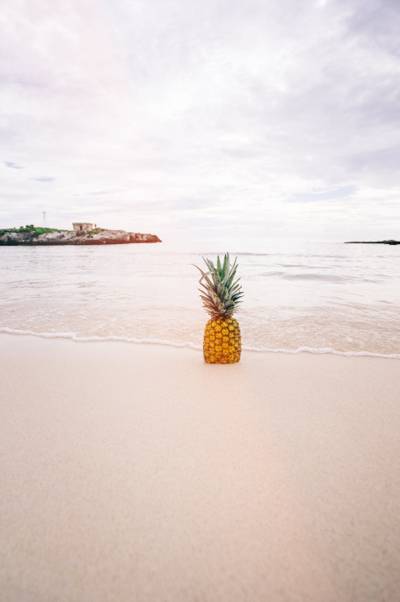 白天高清壁纸在海边的菠萝果实