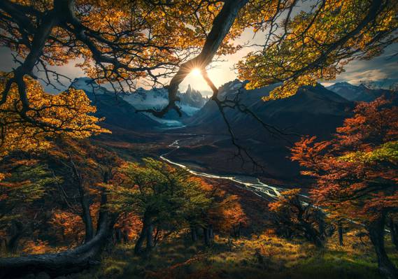 秋天,光,自然,太阳,树木,树枝,山谷