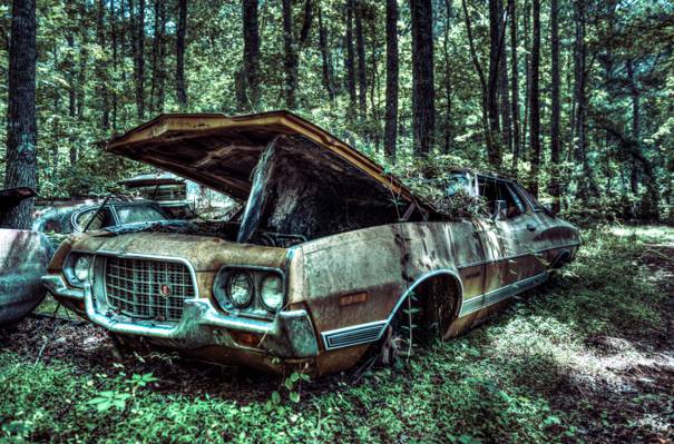GA,车辆,美国,森林,1972年,旧,旧车,车,树,树,机,森林,格兰都灵...