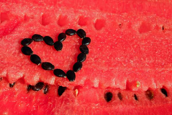 西瓜种子特写镜头摄影形成了心脏标志高清壁纸