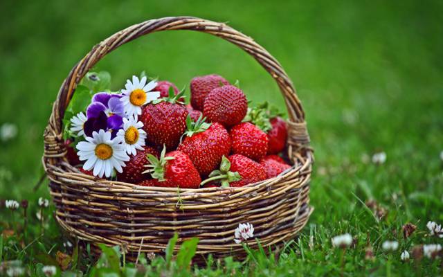 鲜花,篮子,草,草莓