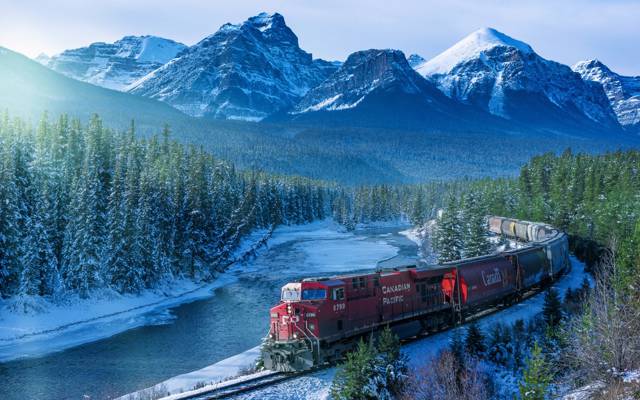 火车,早上,阿尔伯特,山,铁路,加拿大,森林